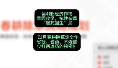 第4节：经济作物果园攻坚，抗性杂草&ldquo;起死回生&rdquo;局，课程：《3月春耕除草定全年：省钱、省药、不烧苗、少打两遍药的秘密》
